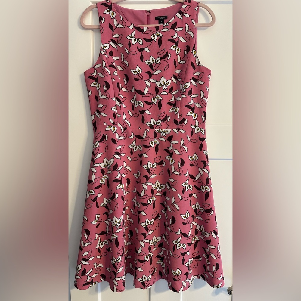 Ann Taylor Factory 
Sleeveless dress
US size: 8